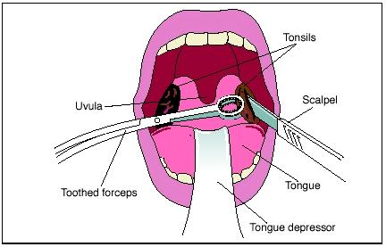 Monroe fingers tongue tonsils free porn image