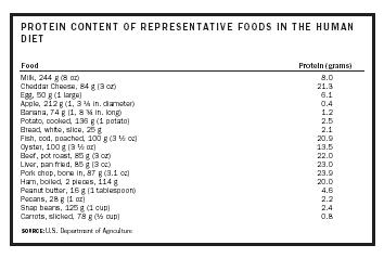 PROTEIN CONTENT OF REPRESENTATIVE FOODS IN THE HUMAN DIET