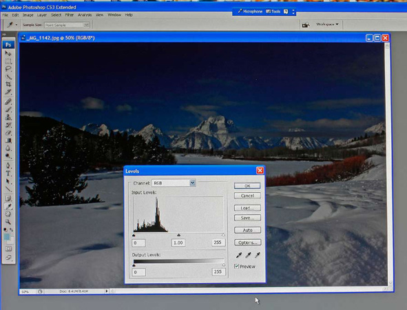 A dark image’s histogram leans towards the left side of the scale (above).